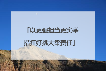 以更强担当更实举措扛好挑大梁责任