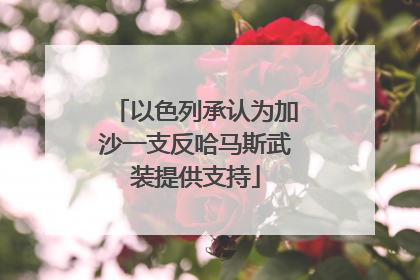 以色列承认为加沙一支反哈马斯武装提供支持