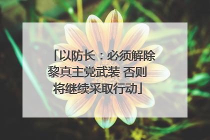 以防长：必须解除黎真主党武装 否则将继续采取行动