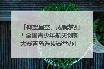 仰望星空、成就梦想！全国青少年航天创新大赛青岛选拔赛举办