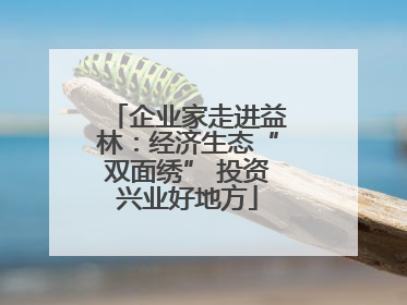 企业家走进益林：经济生态“双面绣” 投资兴业好地方