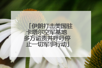 伊朗打击美国驻卡塔尔空军基地 多方谴责并呼吁停止一切军事行动