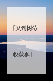 又到树莓收获季