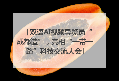 双语AI视频导览员“成都造”，亮相“一带一路”科技交流大会