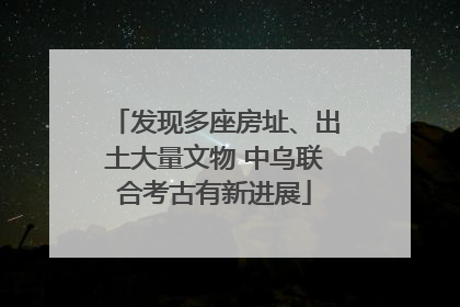 发现多座房址、出土大量文物 中乌联合考古有新进展