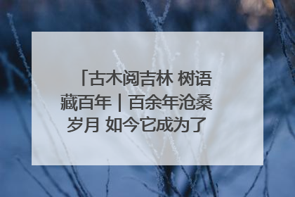 古木阅吉林 树语藏百年｜百余年沧桑岁月 如今它成为了“镇园之宝”