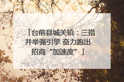 台前县城关镇：三措并举强引擎 奋力跑出招商“加速度”