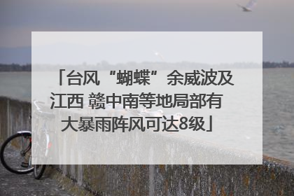 台风“蝴蝶”余威波及江西 赣中南等地局部有大暴雨阵风可达8级