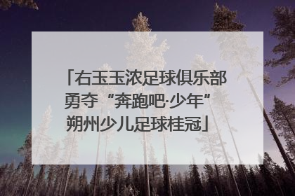 右玉玉浓足球俱乐部勇夺“奔跑吧·少年”朔州少儿足球桂冠