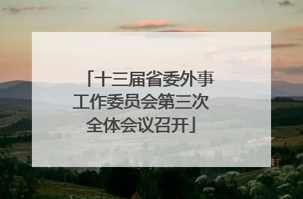 十三届省委外事工作委员会第三次全体会议召开