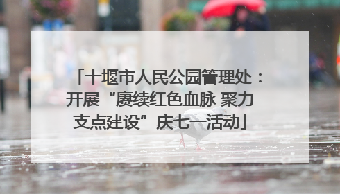 十堰市人民公园管理处：开展“赓续红色血脉 聚力支点建设”庆七一活动