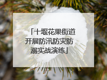 十堰花果街道开展防汛防灾防溺实战演练