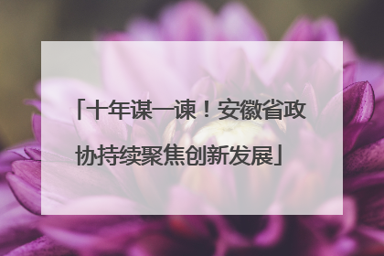 十年谋一谏！安徽省政协持续聚焦创新发展