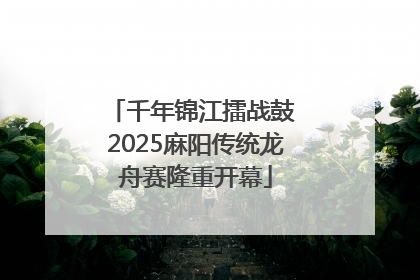千年锦江擂战鼓 2025麻阳传统龙舟赛隆重开幕