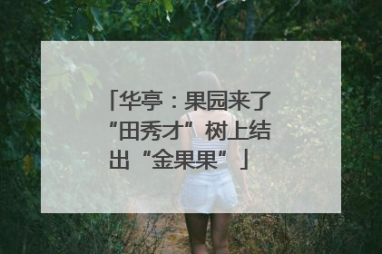 华亭：果园来了“田秀才”树上结出“金果果”