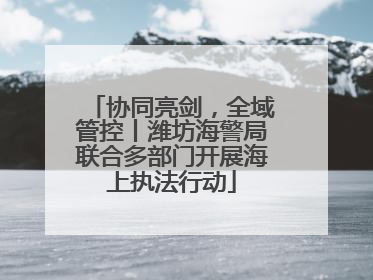 协同亮剑，全域管控丨潍坊海警局联合多部门开展海上执法行动