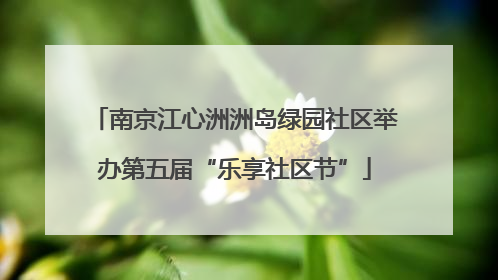 南京江心洲洲岛绿园社区举办第五届“乐享社区节”