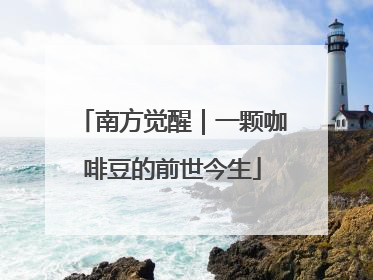 南方觉醒｜一颗咖啡豆的前世今生