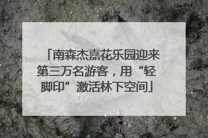 南森杰嘉花乐园迎来第三万名游客，用“轻脚印”激活林下空间