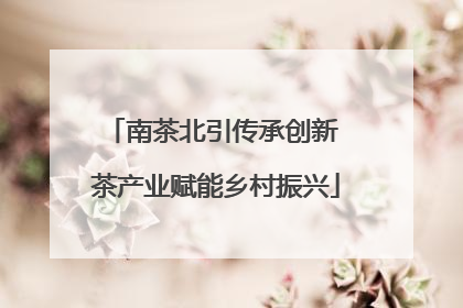 南茶北引传承创新 茶产业赋能乡村振兴