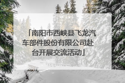 南阳市西峡县飞龙汽车部件股份有限公司赴台开展交流活动
