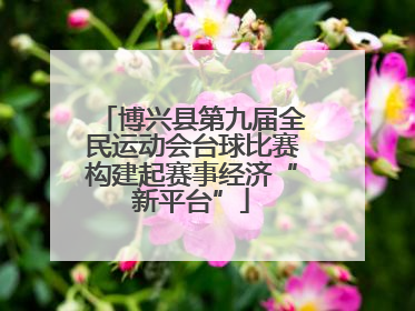 博兴县第九届全民运动会台球比赛构建起赛事经济“新平台”