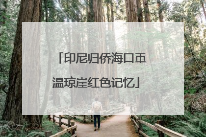 印尼归侨海口重温琼崖红色记忆