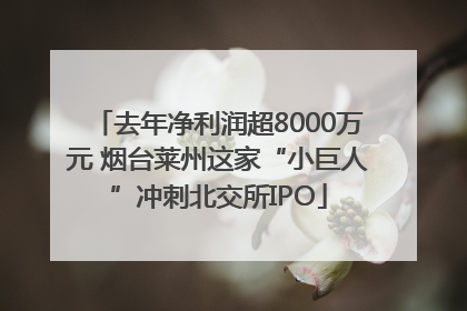 去年净利润超8000万元 烟台莱州这家“小巨人”冲刺北交所IPO
