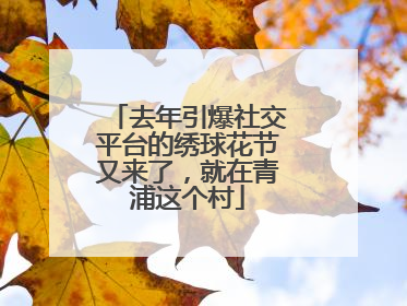 去年引爆社交平台的绣球花节又来了，就在青浦这个村