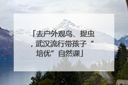 去户外观鸟、捉虫，武汉流行带孩子“培优”自然课