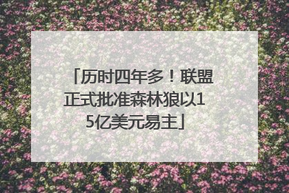 历时四年多！联盟正式批准森林狼以15亿美元易主