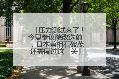 压力测试来了！今夏参议院改选前，日本首相石破茂还需闯过这一关
