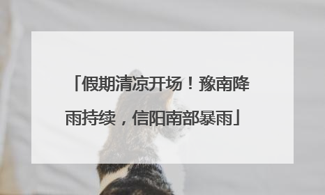 假期清凉开场！豫南降雨持续，信阳南部暴雨