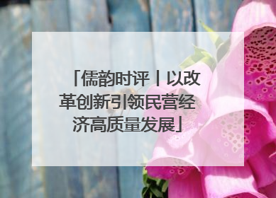 儒韵时评丨以改革创新引领民营经济高质量发展