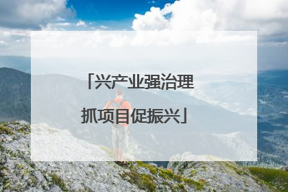 兴产业强治理 抓项目促振兴
