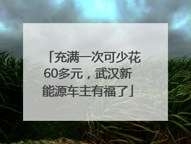 充满一次可少花60多元，武汉新能源车主有福了