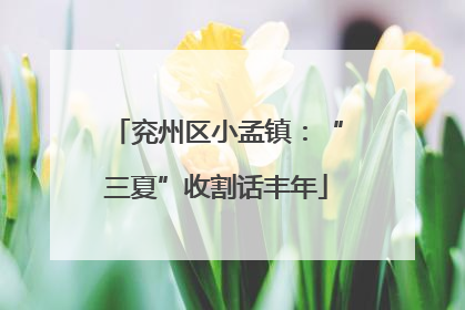 兖州区小孟镇：“三夏”收割话丰年