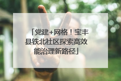 党建+网格！宝丰县铁北社区探索高效能治理新路径