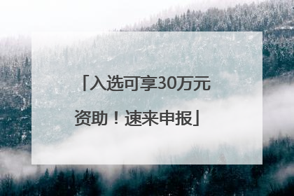 入选可享30万元资助！速来申报