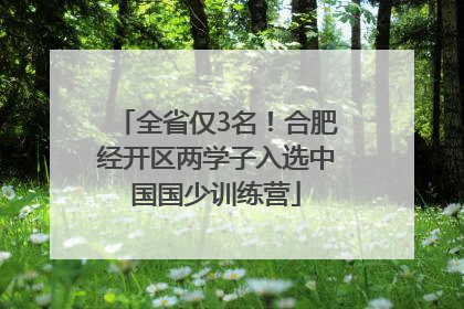 全省仅3名！合肥经开区两学子入选中国国少训练营