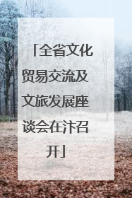 全省文化贸易交流及文旅发展座谈会在汴召开