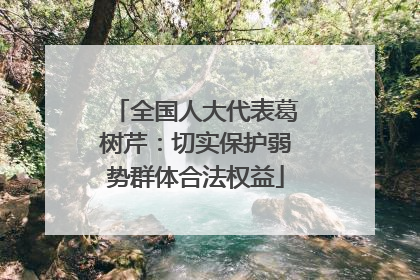 全国人大代表葛树芹：切实保护弱势群体合法权益