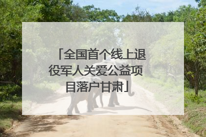 全国首个线上退役军人关爱公益项目落户甘肃