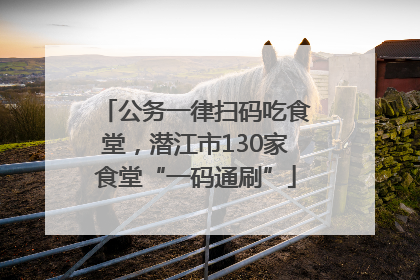 公务一律扫码吃食堂，潜江市130家食堂“一码通刷”