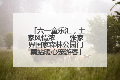 六一童乐汇，土家风情浓——张家界国家森林公园门票站暖心宠游客