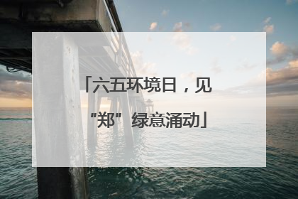 六五环境日，见“郑”绿意涌动