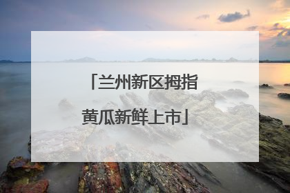 兰州新区拇指黄瓜新鲜上市