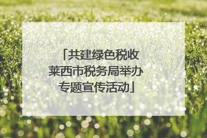 共建绿色税收 莱西市税务局举办专题宣传活动