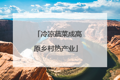 冷凉蔬菜成高原乡村热产业