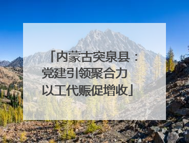 内蒙古突泉县：党建引领聚合力 以工代赈促增收